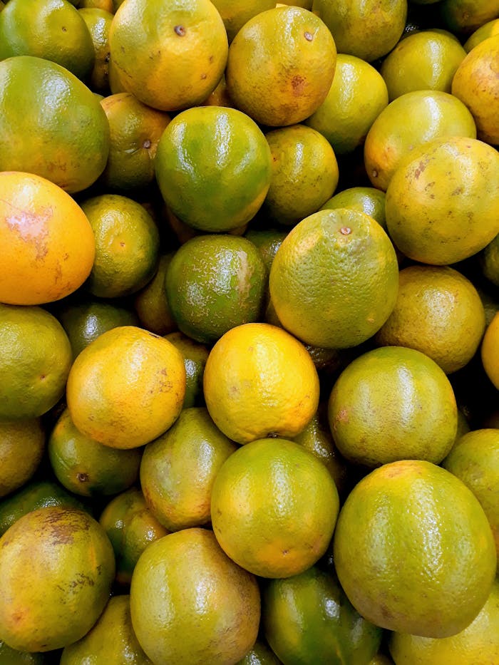 pexels photo 2288683.jpeg